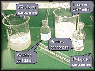 lipase milk experiment|A clarifying reagent and microplate.